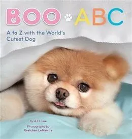 E-Book (epub) Boo ABC von J. H. Lee