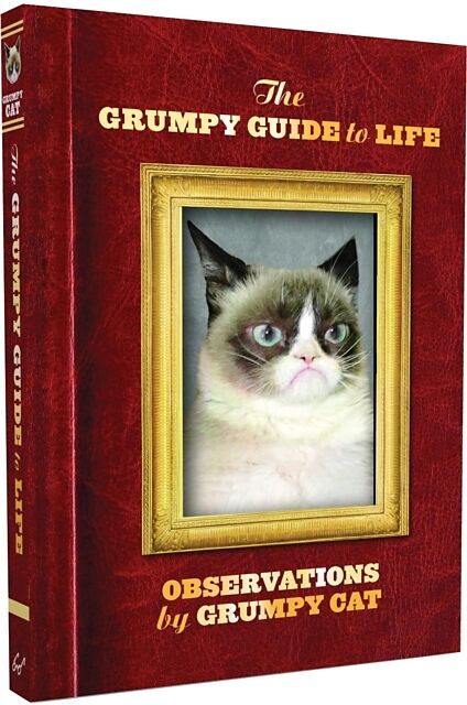 The Grumpy Guide to Life