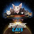 E-Book (epub) Star Trek: The Next Generation Cats von Jenny Parks