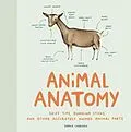 E-Book (epub) Animal Anatomy von Sophie Corrigan