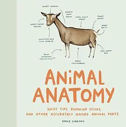 E-Book (epub) Animal Anatomy von Sophie Corrigan