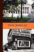 Kartonierter Einband The Two Worlds of Style Delaney von Daniel F. McNeill