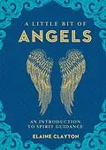 E-Book (epub) A Little Bit of Angels von Elaine Clayton