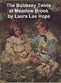 E-Book (epub) Bobbsey Twins at Meadow Brook von Laura Lee Hope