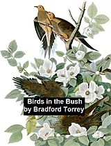 eBook (epub) Birds in the Bush de Bradford Torrey