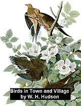 eBook (epub) Birds in Town and Village de W. H. Hudson