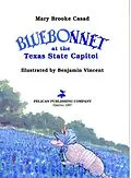 E-Book (epub) Bluebonnet at the Texas State Capitol von Mary Brooke Casad