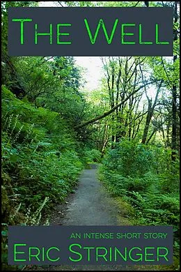 E-Book (epub) Well von Eric Stringer
