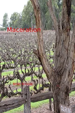E-Book (epub) Maceration von Brian Briscoe