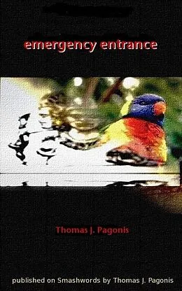 E-Book (epub) Emergency Entrance von Thomas J. Pagonis