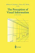 E-Book (pdf) The Perception of Visual Information von William R. Hendee, Peter N. T. Wells
