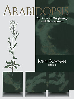 eBook (pdf) Arabidopsis de 