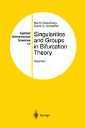 E-Book (pdf) Singularities and Groups in Bifurcation Theory von Martin Golubitsky, David G. Schaeffer