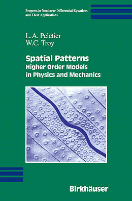 Kartonierter Einband Spatial Patterns von W. C. Troy, L. A. Peletier