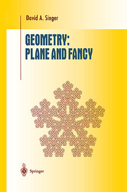 Kartonierter Einband Geometry: Plane and Fancy von David A. Singer