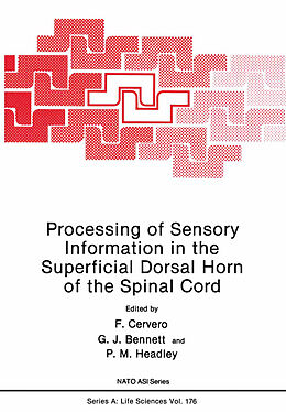 Kartonierter Einband Processing of Sensory Information in the Superficial Dorsal Horn of the Spinal Cord von F. Cervero, P. M. Headley, G. J. Bennett