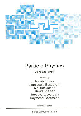 Kartonierter Einband Particle Physics von Maurice Levy