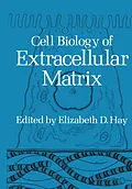 E-Book (pdf) Cell Biology of Extracellular Matrix von Elizabeth D. Hay