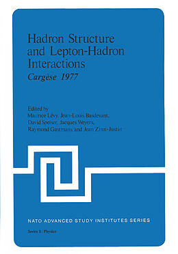 Couverture cartonnée Hadron Structure and Lepton-Hadron Interactions de 