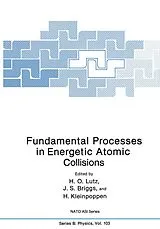 Kartonierter Einband Fundamental Processes in Energetic Atomic Collisions von