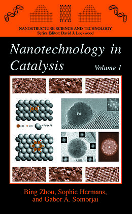 Kartonierter Einband Nanotechnology in Catalysis von 
