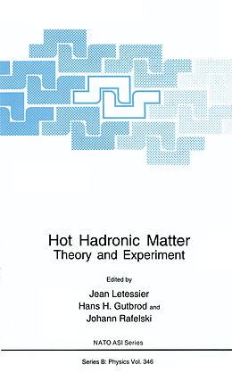 Kartonierter Einband Hot Hadronic Matter von 