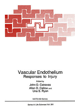 Kartonierter Einband Vascular Endothelium von 