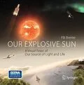E-Book (pdf) Our Explosive Sun von Pal Brekke