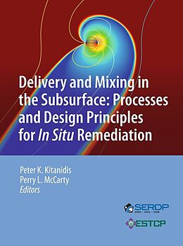 eBook (pdf) Delivery and Mixing in the Subsurface de 