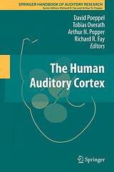 E-Book (pdf) The Human Auditory Cortex von 