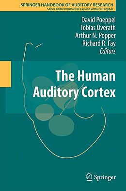 eBook (pdf) The Human Auditory Cortex de 
