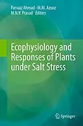 E-Book (pdf) Ecophysiology and Responses of Plants under Salt Stress von Parvaiz Ahmad, M.M. Azooz, M.N.V. Prasad