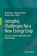 E-Book (pdf) Jatropha, Challenges for a New Energy Crop von Bir Bahadur, Mulpuri Sujatha, Nicolas Carels