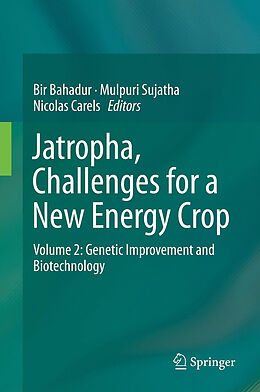 eBook (pdf) Jatropha, Challenges for a New Energy Crop de Bir Bahadur, Mulpuri Sujatha, Nicolas Carels