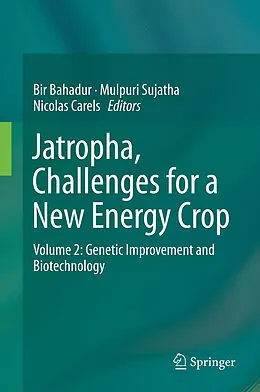E-Book (pdf) Jatropha, Challenges for a New Energy Crop von Bir Bahadur, Mulpuri Sujatha, Nicolas Carels