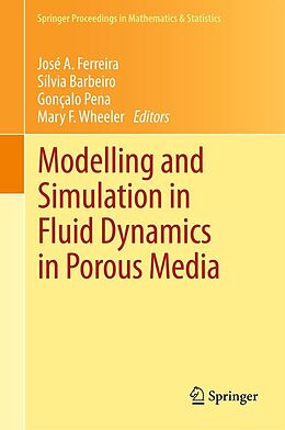 eBook (pdf) Modelling and Simulation in Fluid Dynamics in Porous Media de José A. Ferreira, Sílvia Barbeiro, Gonçalo Pena