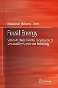 E-Book (pdf) Fossil Energy von Ripudaman Malhotra