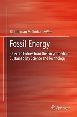 E-Book (pdf) Fossil Energy von Ripudaman Malhotra