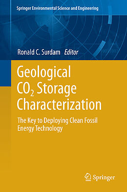 eBook (pdf) Geological CO2 Storage Characterization de Ronald Surdam