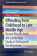 E-Book (pdf) Offending from Childhood to Late Middle Age von David P. Farrington, Alex R. Piquero, Wesley G. Jennings