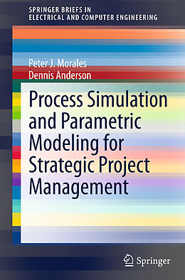 Kartonierter Einband Process Simulation and Parametric Modeling for Strategic Project Management von Dennis Anderson, Peter J. Morales