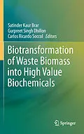 E-Book (pdf) Biotransformation of Waste Biomass into High Value Biochemicals von Satinder Kaur Brar, Gurpreet Singh Dhillon, Carlos Ricardo Soccol