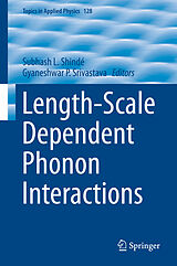 E-Book (pdf) Length-Scale Dependent Phonon Interactions von Subhash L. Shindé, Gyaneshwar P. Srivastava