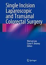 Fester Einband Single Incision Laparoscopic and Transanal Colorectal Surgery von