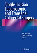 E-Book (pdf) Single Incision Laparoscopic and Transanal Colorectal Surgery von Wai Lun Law, Conor P. Delaney