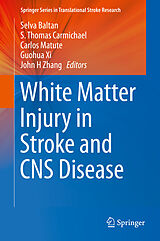 E-Book (pdf) White Matter Injury in Stroke and CNS Disease von Selva Baltan, S. Thomas Carmichael, Carlos Matute