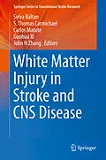 E-Book (pdf) White Matter Injury in Stroke and CNS Disease von Selva Baltan, S. Thomas Carmichael, Carlos Matute