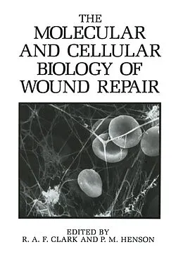 E-Book (pdf) The Molecular and Cellular Biology of Wound Repair von R. A. F. Clark, P. M. Henson