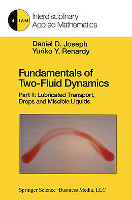 eBook (pdf) Fundamentals of Two-Fluid Dynamics de Daniel D. Joseph, Yuriko Y. Renardy