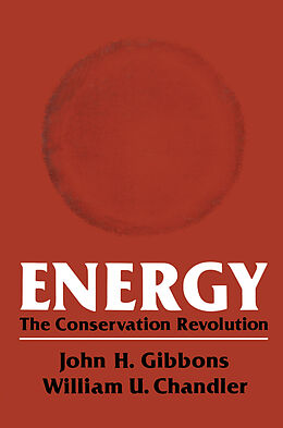 E-Book (pdf) Energy von John Gibbons